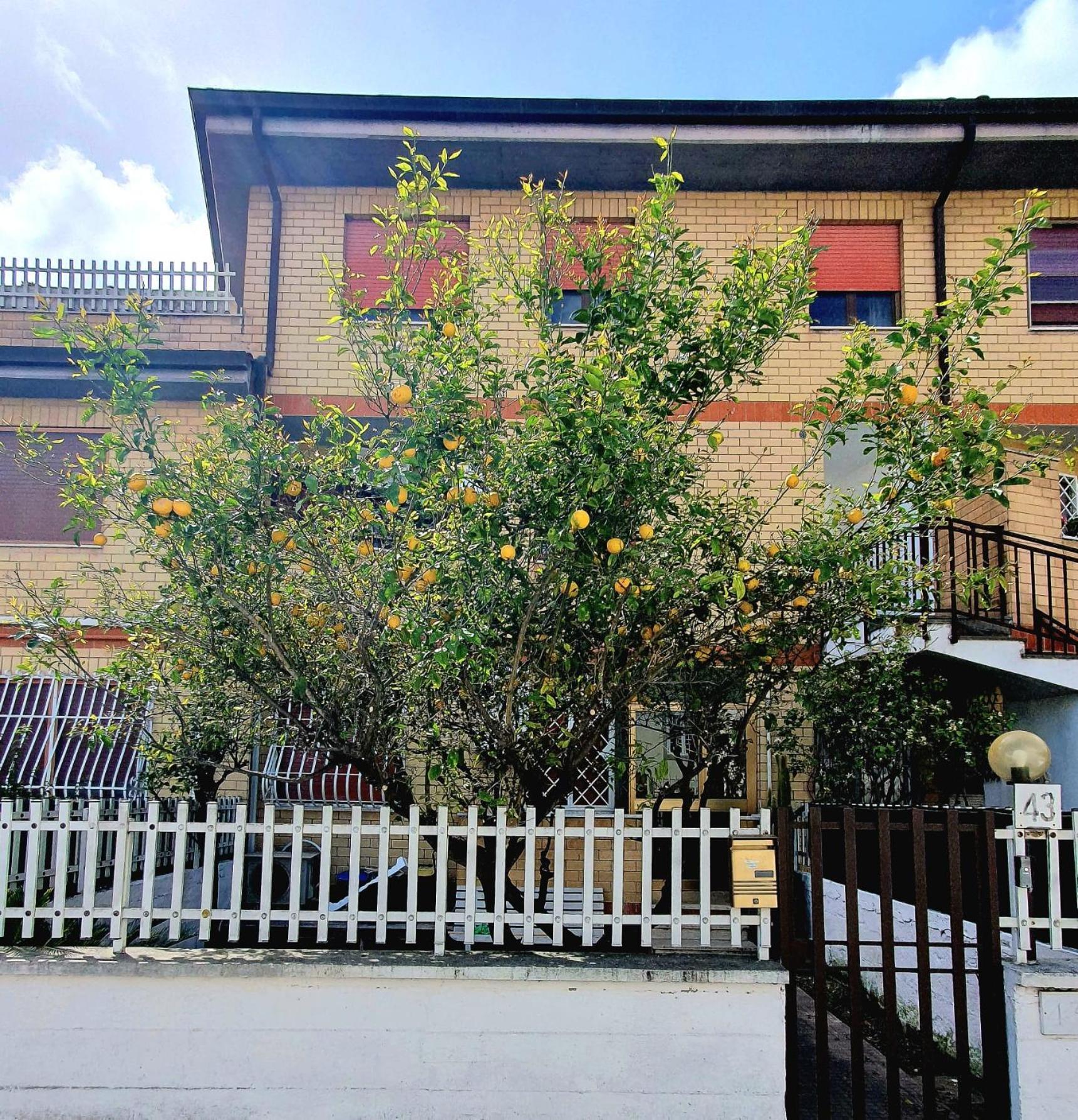 Апартаменты Lemon Tree House Остия-Антика Экстерьер фото
